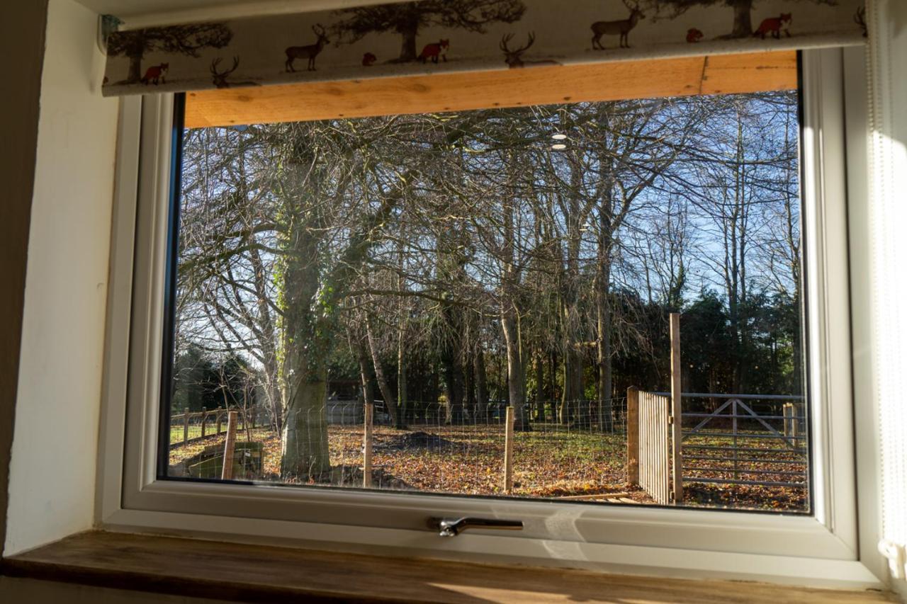 Rose Hideaway - Forest Of Dean Cosy Cabin Retreat Yorkley Buitenkant foto